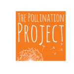 Adobe Express - file(3)